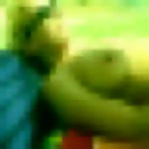 Najat, 42 ans, en ligne à Obersaasheim pour un beurette