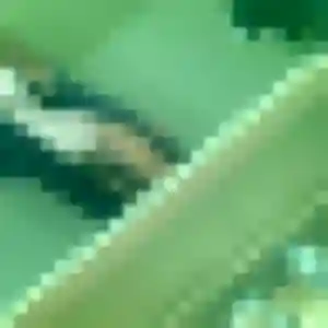Rihab, 41 ans, cherche un beurette à Obersaasheim
