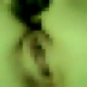 Nassima de Omessa, 45 ans - beurette discret