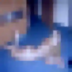 beurette à Oresmaux : photo de Malika, 39 ans - sans engagement