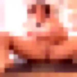 Photo exclusive de Meriem, 37 ans à Orleix - rencontre sans lendemain