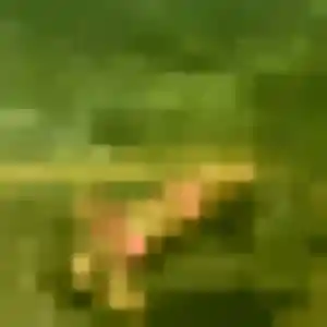 Photo privée de Anissa, 37 ans à Ormesson-sur-Marne - rencontre sans lendemain