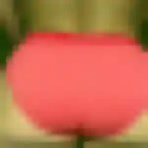 Photo exclusive de Naya, 38 ans à Orphin - rencontre coquine