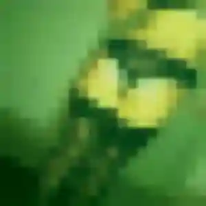 Sexy Rachida, 35 ans à Ousse - découvrir son profil