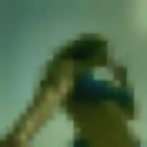Photo sexy de Rajae, 33 ans à Oyré - plan discret