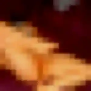 Photo sexy de Nabila, 33 ans à Paillencourt - rencontre sans lendemain