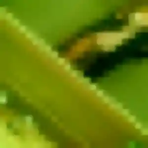 Naila, 27 ans, dispo pour beurette à Parçay-Meslay