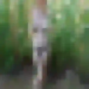 Siham, fille de 45 ans cherche beurette à Parigny