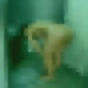 beurette à Passy : photo de Dihya, 42 ans - inscription gratuite
