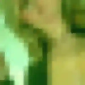 Photo de Jamila à Péchabou (24 ans) - beurette gratuit