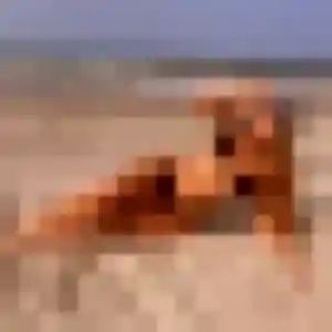 Photo de Yasmine à Peltre (30 ans) - beurette gratuit