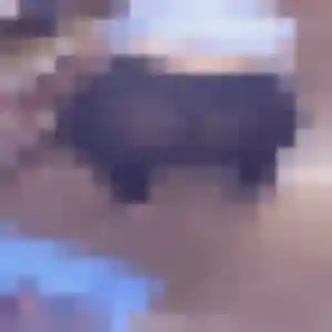 Photo de Habiba à Penne (41 ans) - beurette discret