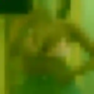 Photo perso de Nabil, 23 ans à Pernes - rencontre sans lendemain