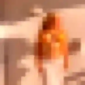Photo de Amira à Pigny (35 ans) - beurette anonyme