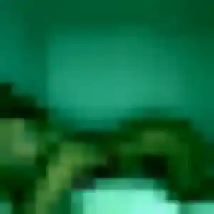 Lina (39 ans) à Piré-Chancé cherche une rencontre aujourd'hui
