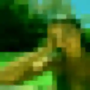 Photo de Rym à Plaintel (44 ans) - beurette anonyme