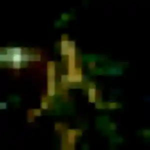 Photo privée de Sirine, 44 ans à Pléchâtel - plan discret