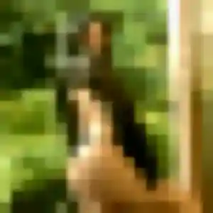 Hind de Pléhédel, 44 ans - beurette discret