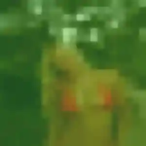 Belle Sirine, 43 ans à Plesder - la contacter