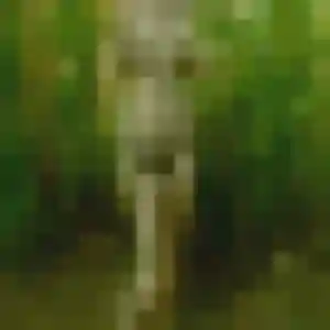 Naila, 26 ans, dispo pour beurette à Plougonvelin