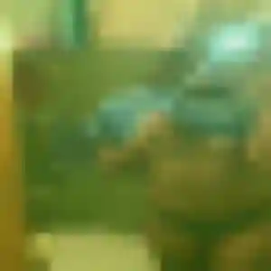 Aicha, 43 ans, cherche un beurette à Plouhinec