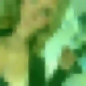 Maroua, 44 ans, dispo pour beurette à Plounérin