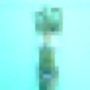 Photo de Safiya à Plourhan (30 ans) - beurette gratuit