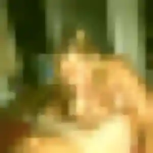 Photo de Sabrina à Plouvien (44 ans) - beurette gratuit