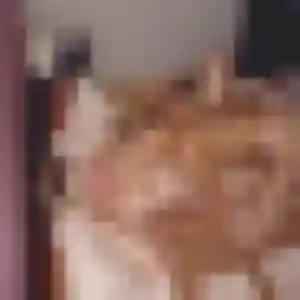 Saida (32 ans) à Pluherlin cherche un beurette rapidement