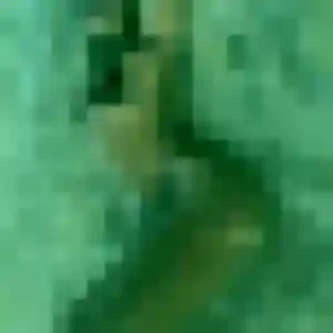 Aya, 22 ans, en ligne à Poncin pour une rencontre coquine