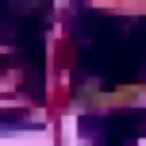 Photo de Safia à Pont-Audemer (26 ans) - beurette anonyme