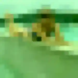 Photo de Naya à Pont-du-Château (42 ans) - beurette sans inscription
