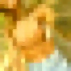 Photo exclusive de Rachida, 36 ans à Pontcarré - rencontre coquine