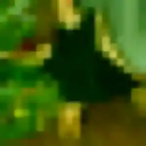 Photo de Sanaa à Pontcharra (34 ans) - beurette anonyme