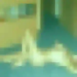 Yamina, 44 ans, dispo pour beurette à Pontevès