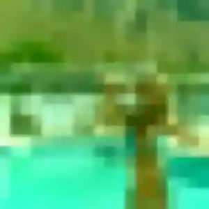 Photo de Ikram à Poyartin (33 ans) - beurette gratuit