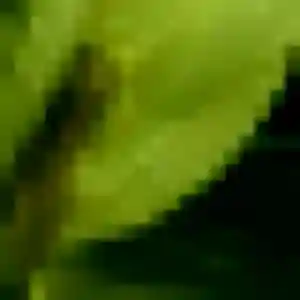 Photo perso de Zara, 29 ans à Prémery - rencontre coquine