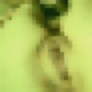 Maissa, 38 ans, connectée à Présilly pour une rencontre coquine