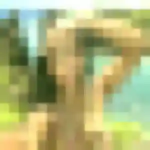 Photo perso de Anissa, 34 ans à Presles-en-Brie - plan discret