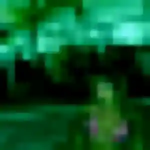 Photo de Amira à Provenchères-et-Colroy (33 ans) - beurette anonyme