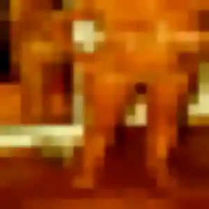 Contacte Nour, 39 ans à Puget en privé