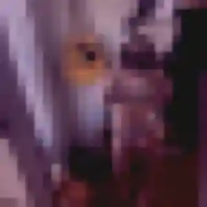 Photo exclusive de Latifa, 33 ans à Puymoyen - rencontre coquine
