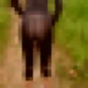 Linda (35 ans) à Puymoyen cherche un beurette rapidement