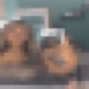 Photo privée de Emna, 35 ans à Quettreville-sur-Sienne - plan discret