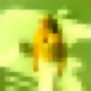 Hafsa, fille de 39 ans cherche beurette à Ramonchamp