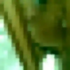 Maroua, 36 ans, connectée à Rauville-la-Bigot pour un beurette