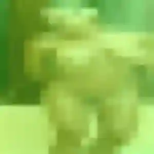 Ahlam, 40 ans, dispo pour beurette à Réau