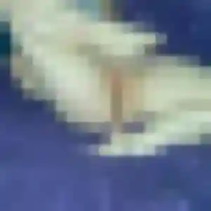 Photo de Layla à Reignier-Ésery (39 ans) - beurette anonyme