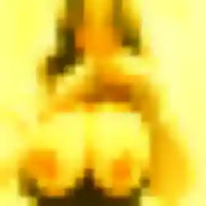 Jihane, 37 ans, dispo pour beurette à Remiremont