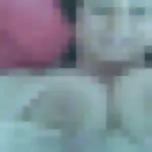 Contacte Lina, 34 ans à Renage gratuitement